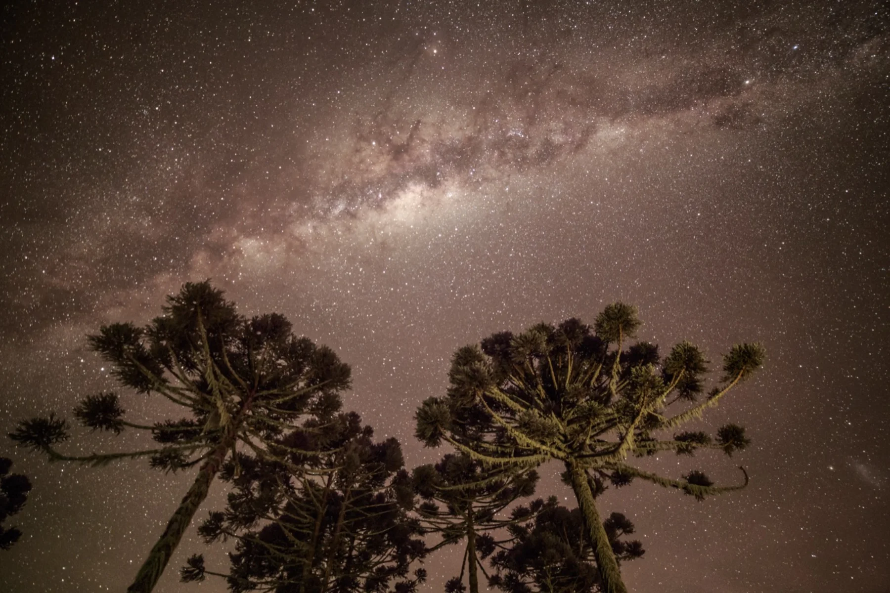Astrophotography by Daniel Branco