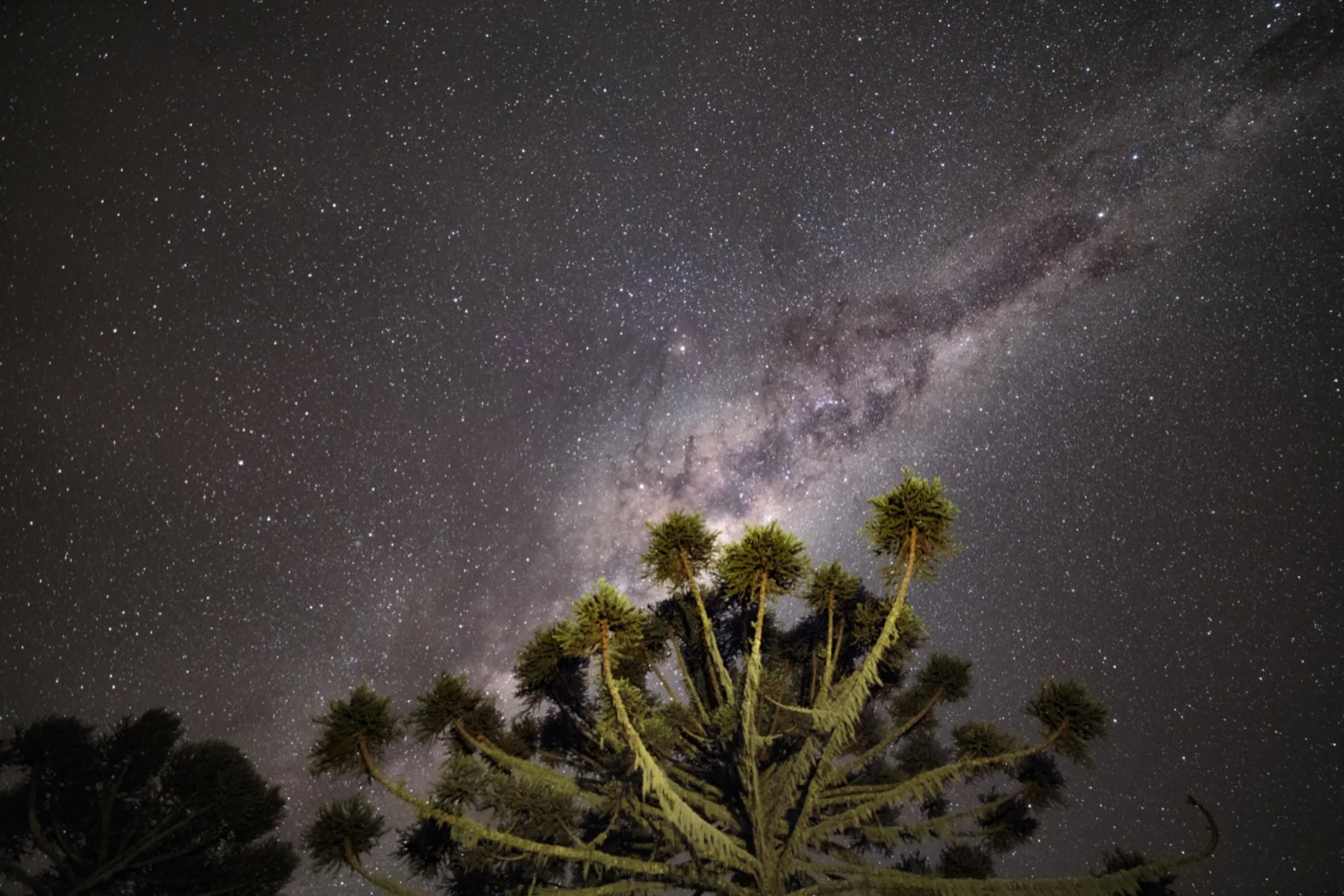 Astrophotography by Daniel Branco