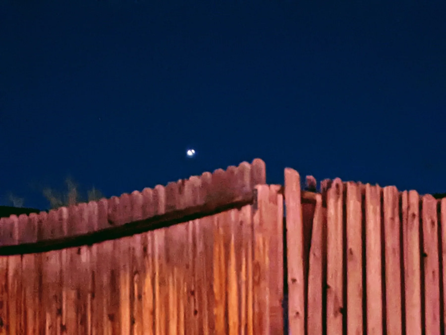 Astrophotography by Daniel Branco