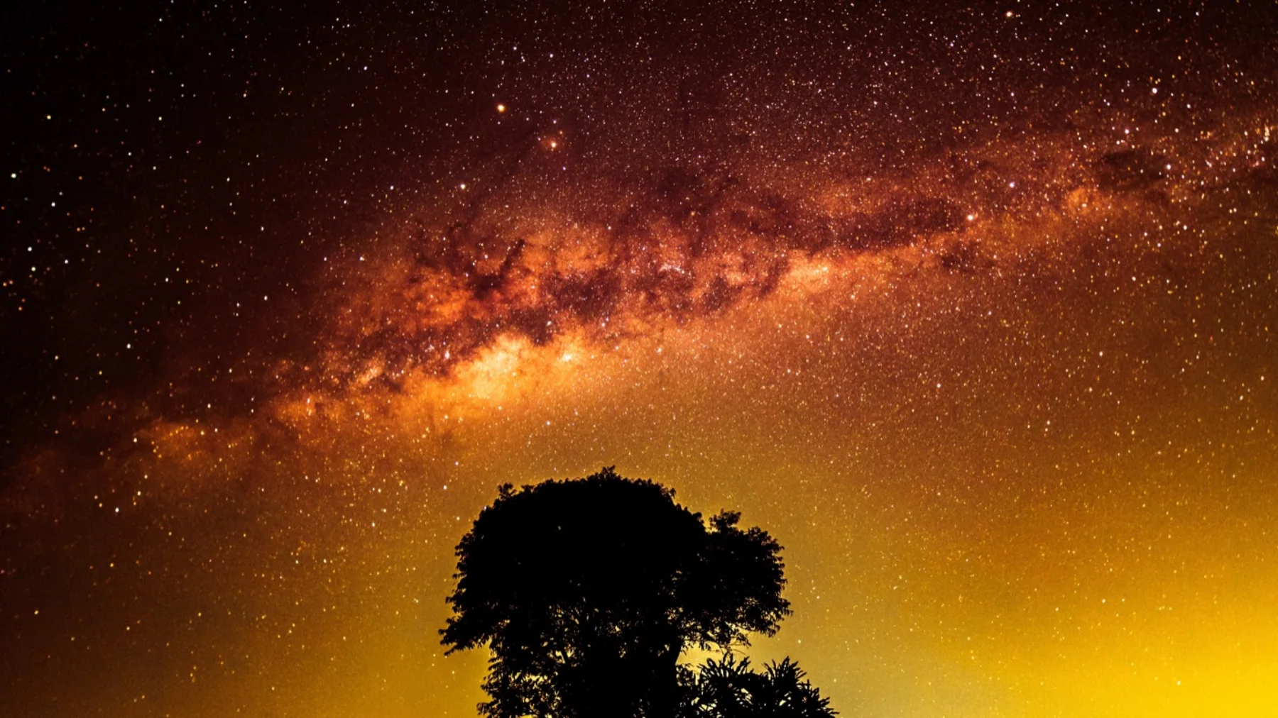 Astrophotography by Daniel Branco