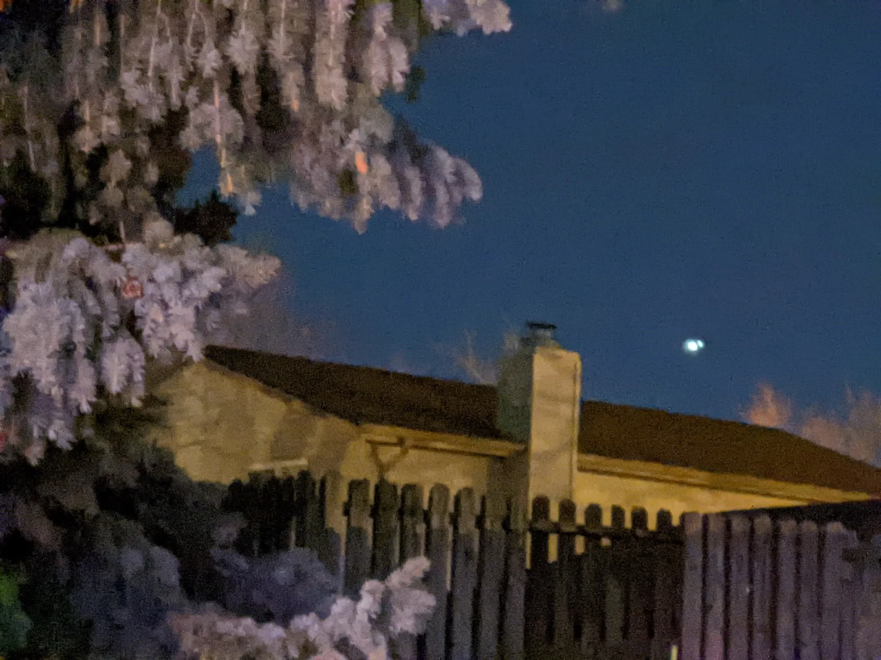 Astrophotography by Daniel Branco