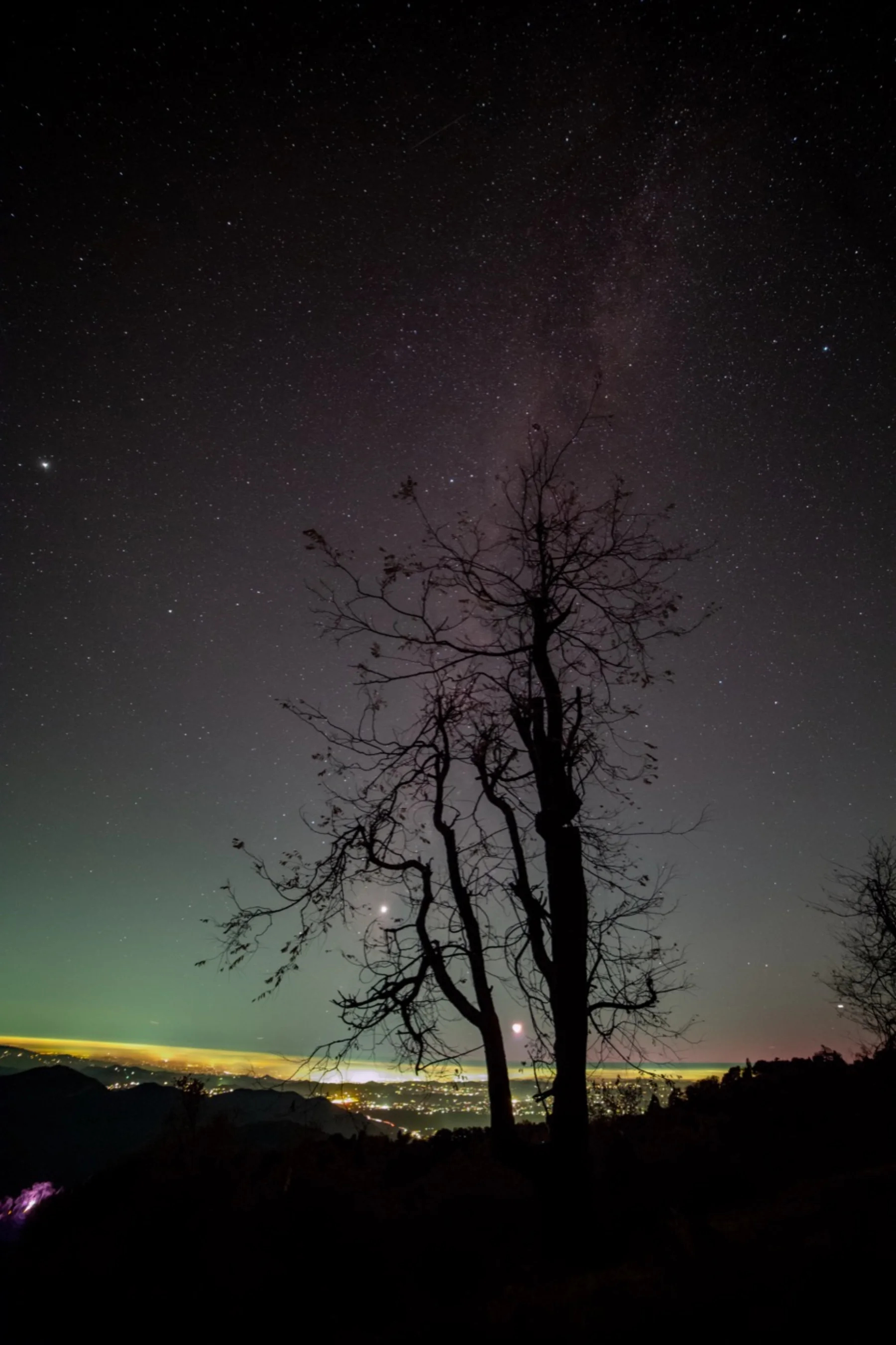 Astrophotography by Daniel Branco