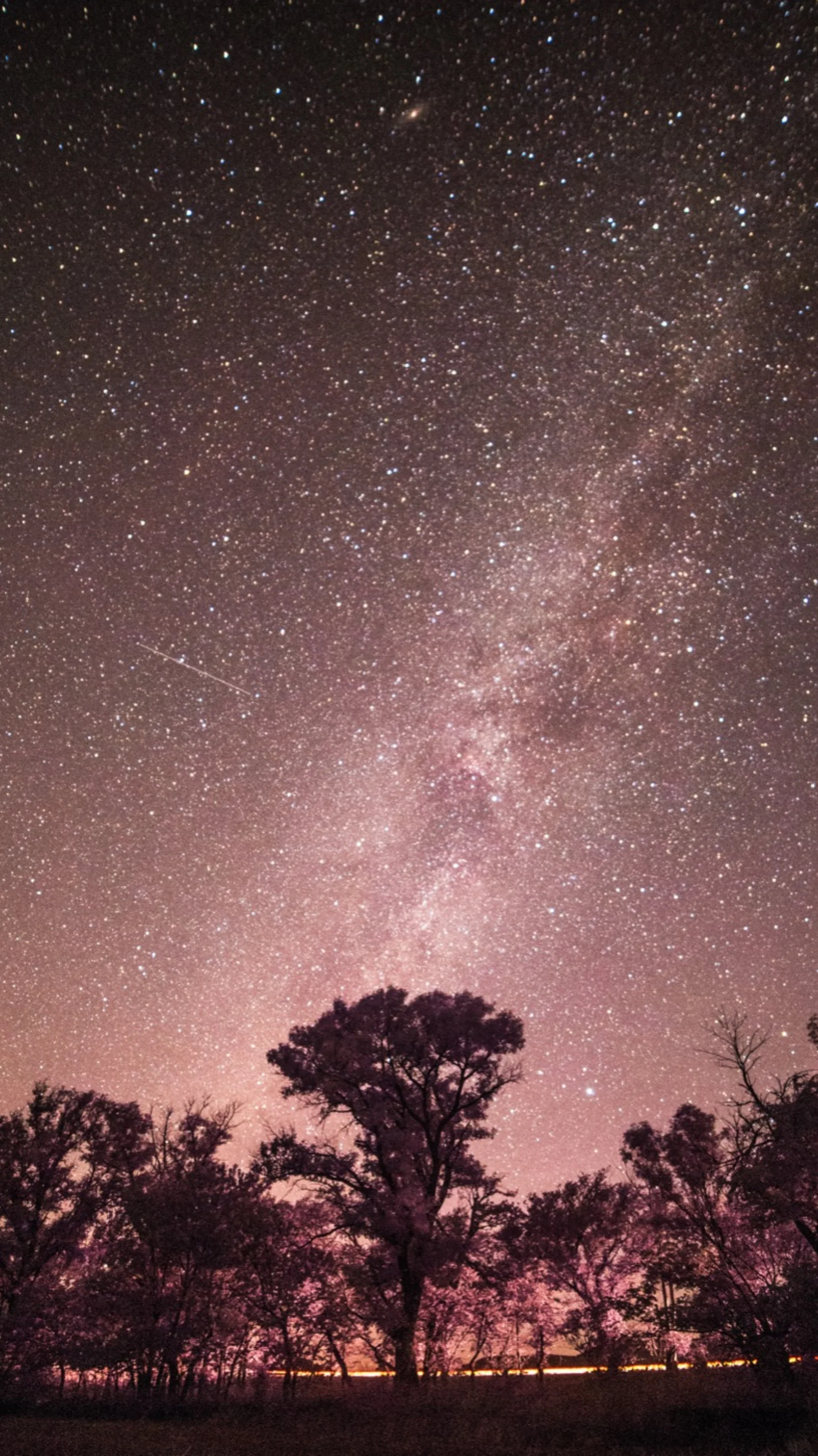 Astrophotography by Daniel Branco
