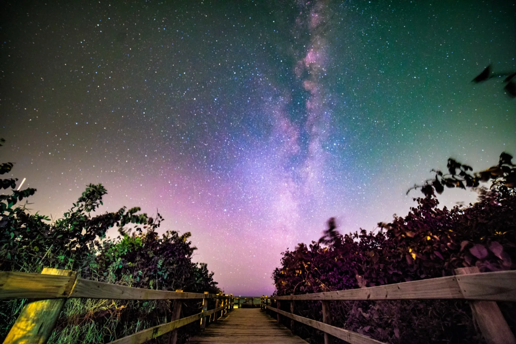 Astrophotography by Daniel Branco