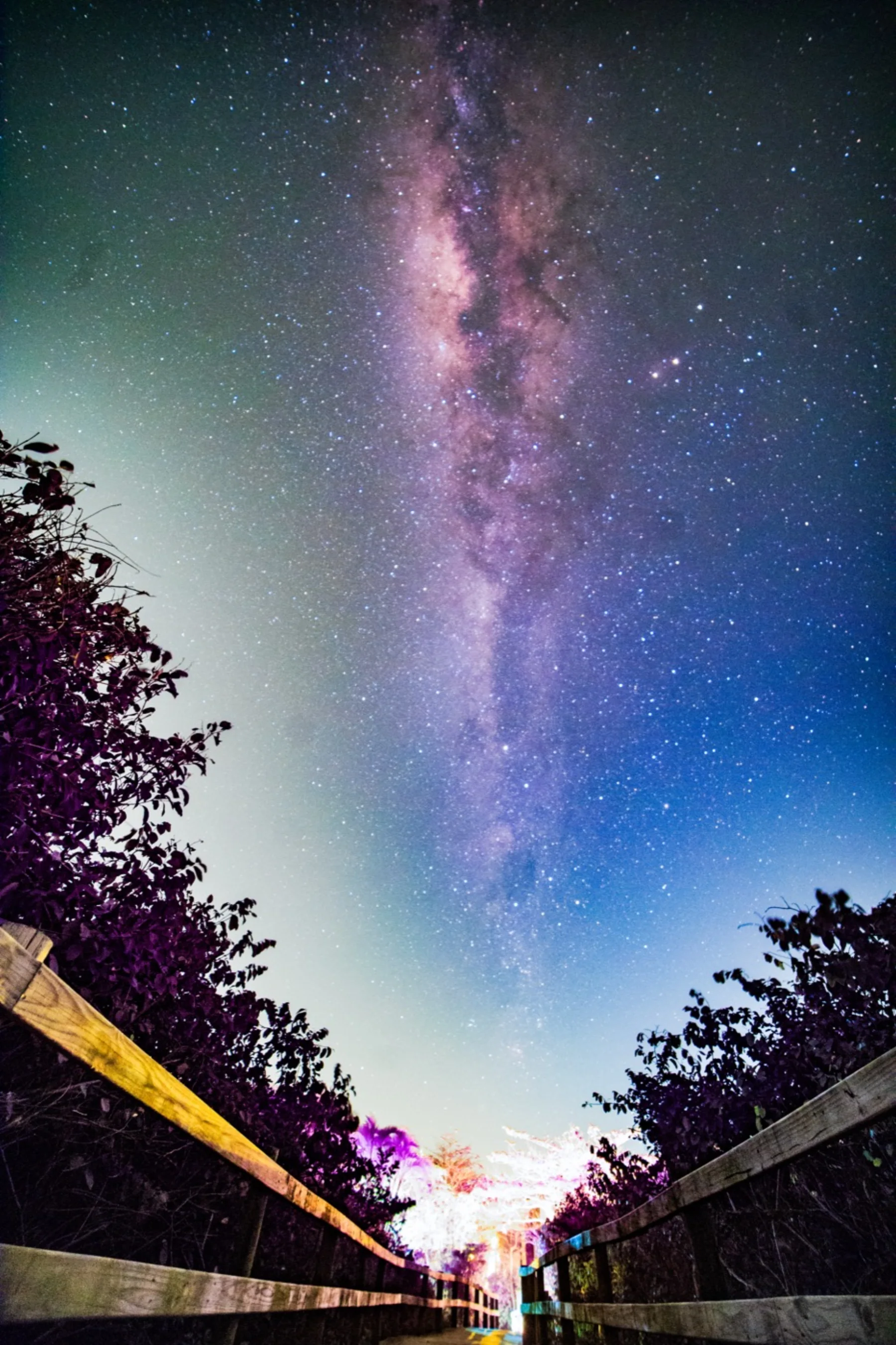 Astrophotography by Daniel Branco