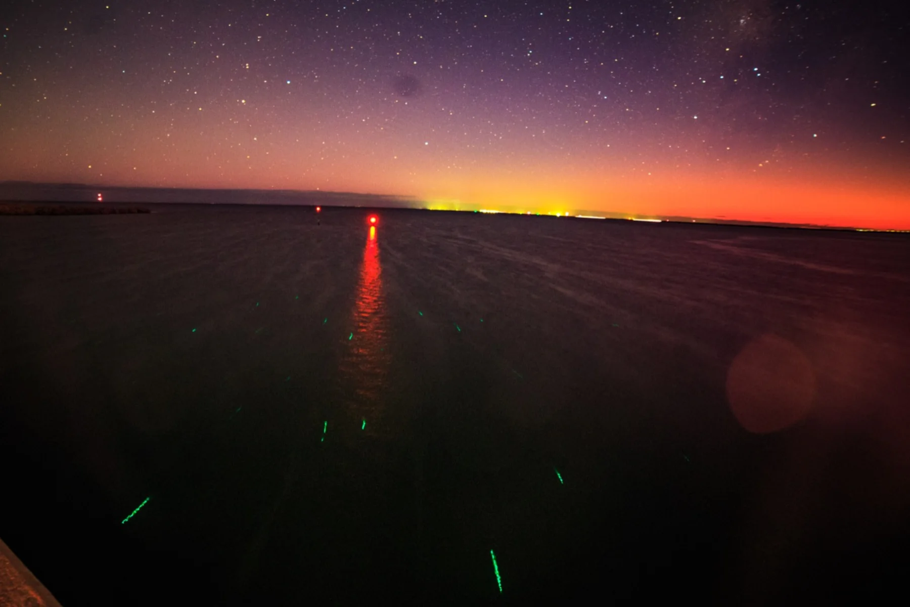 Astrophotography by Daniel Branco