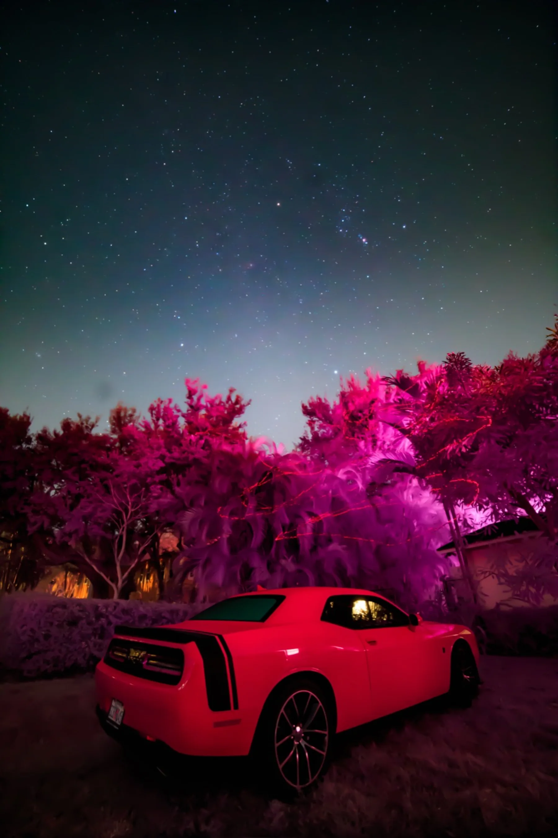 Astrophotography by Daniel Branco