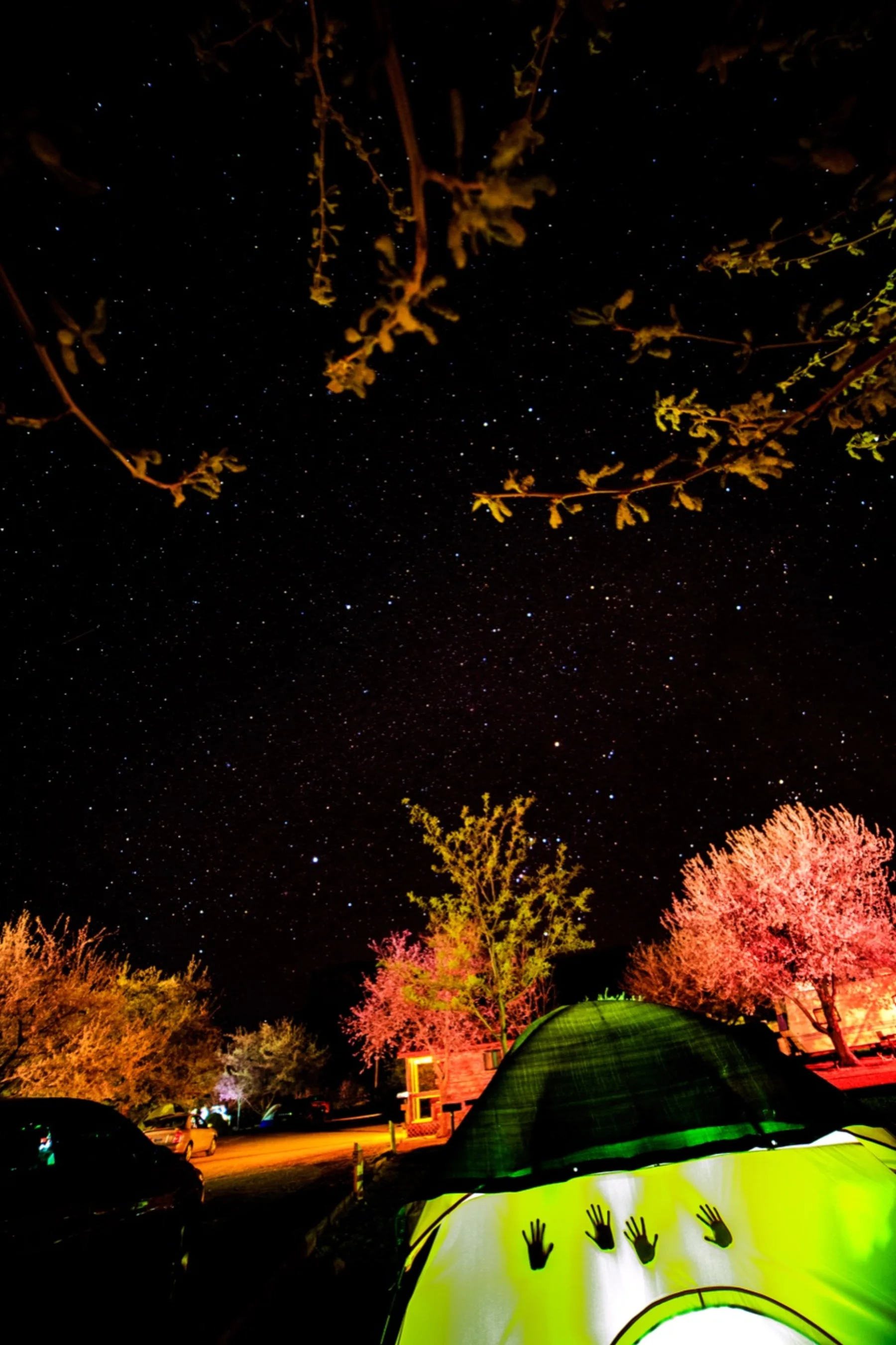 Astrophotography by Daniel Branco