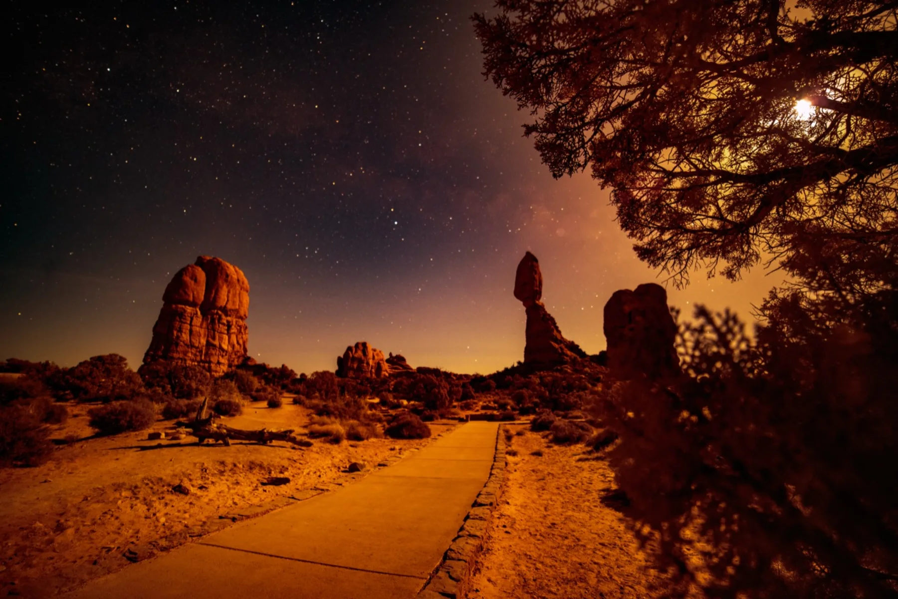 Astrophotography by Daniel Branco