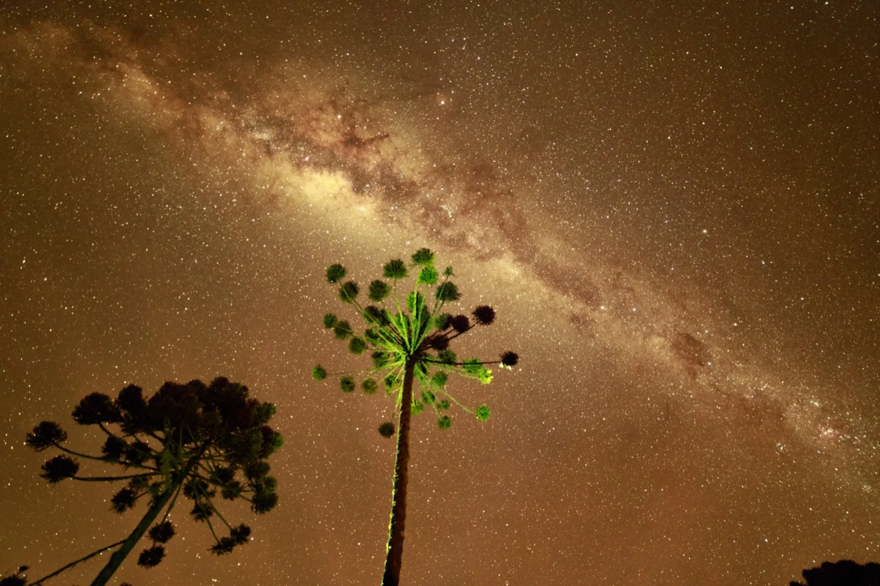Astrophotography by Daniel Branco